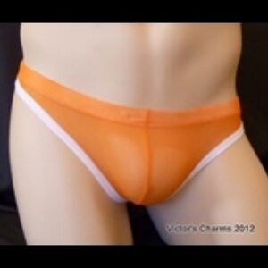 8/$48 Victor’s Charms/Intouch orange and white sexy cotton blend undies L
